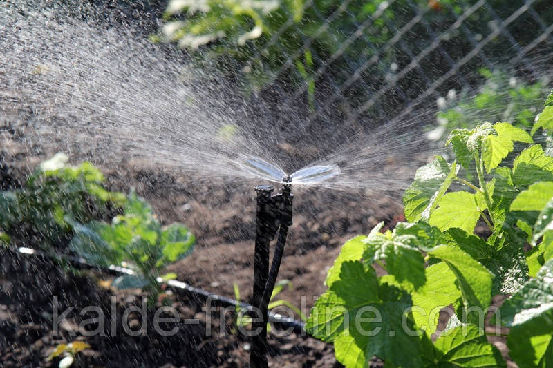 Крапельниця для поливу Presto-PS мікроджет Шуруп (MJ-1414) Харьков - изображение 10