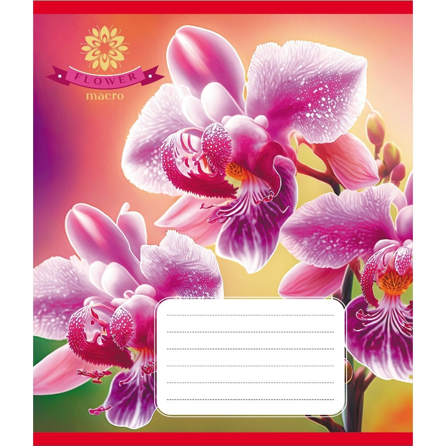 Тетрадь ученическая 