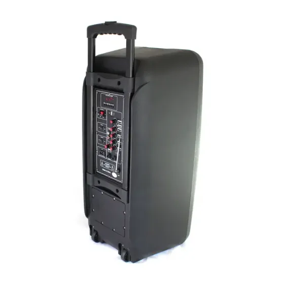 Портативная колонка Su-Kam 1010 + 2 микрофона + BT 12v220v Коломыя