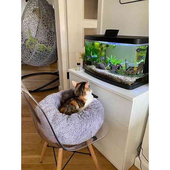 Лежанка для кошек и собак «Ворс» M (50см), Сірий Киев