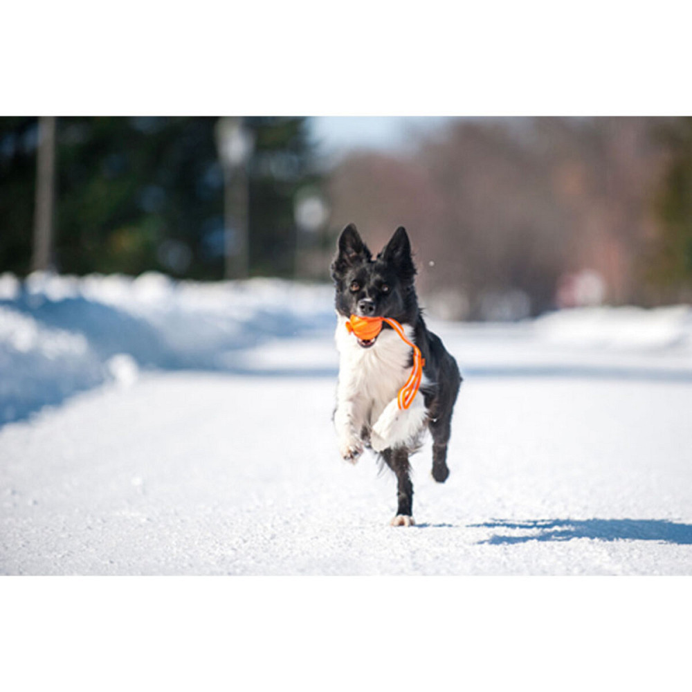 Мячик Лайкер7 Лайн (диаметр 7см) Киев - изображение 4