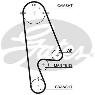 Ремень ГРМ Gates 5480XS Винница