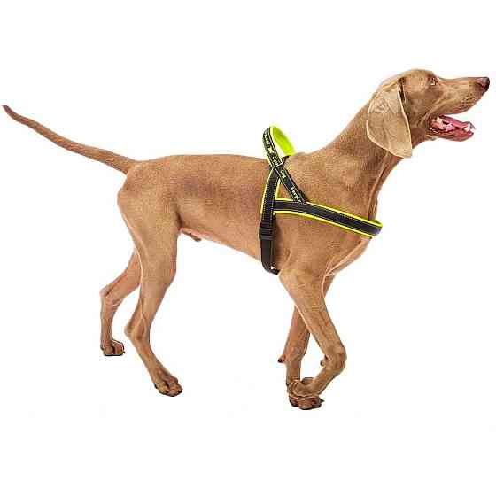 Нейлонова шлейка світловідражаюча норвезького типу для собак Ferplast Sport Dog P (Ферпласт Спорт Дог П) A: 65 см - B: 77 sign 98 см - L, Жовтий Запоріжжя