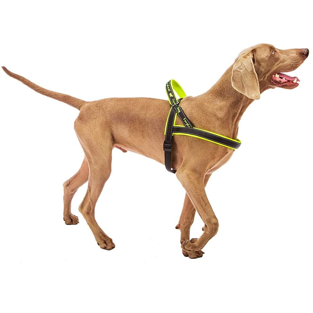 Нейлонова шлейка світловідражаюча норвезького типу для собак Ferplast Sport Dog P (Ферпласт Спорт Дог П) A: 65 см - B: 77 sign 98 см - L, Жовтий Запоріжжя - фото 6
