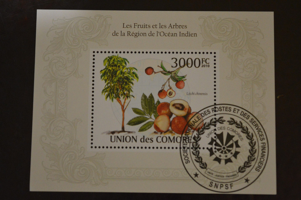 Коморы. Марки. Фауна. Блок. 2010 год (В-5) Полтава - изображение 1