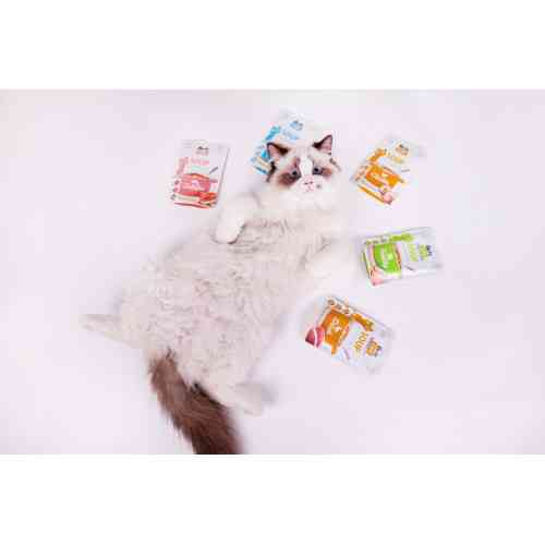 Корм вологий Brit Care Soup Turkey д/котів суп з індичкою 75 г Київ