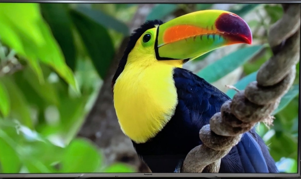 Телевизор Panasonic TX -65DXW784 4K Pro HDR 3D/ 120Hz. / TOP/ 2017 Киев - изображение 4