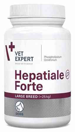 Дополнительный корм Vet Expert HEPATIALE Forte Large Breed +25 кг для поддержания функций печени больших пород собак 10 таблеток Винница