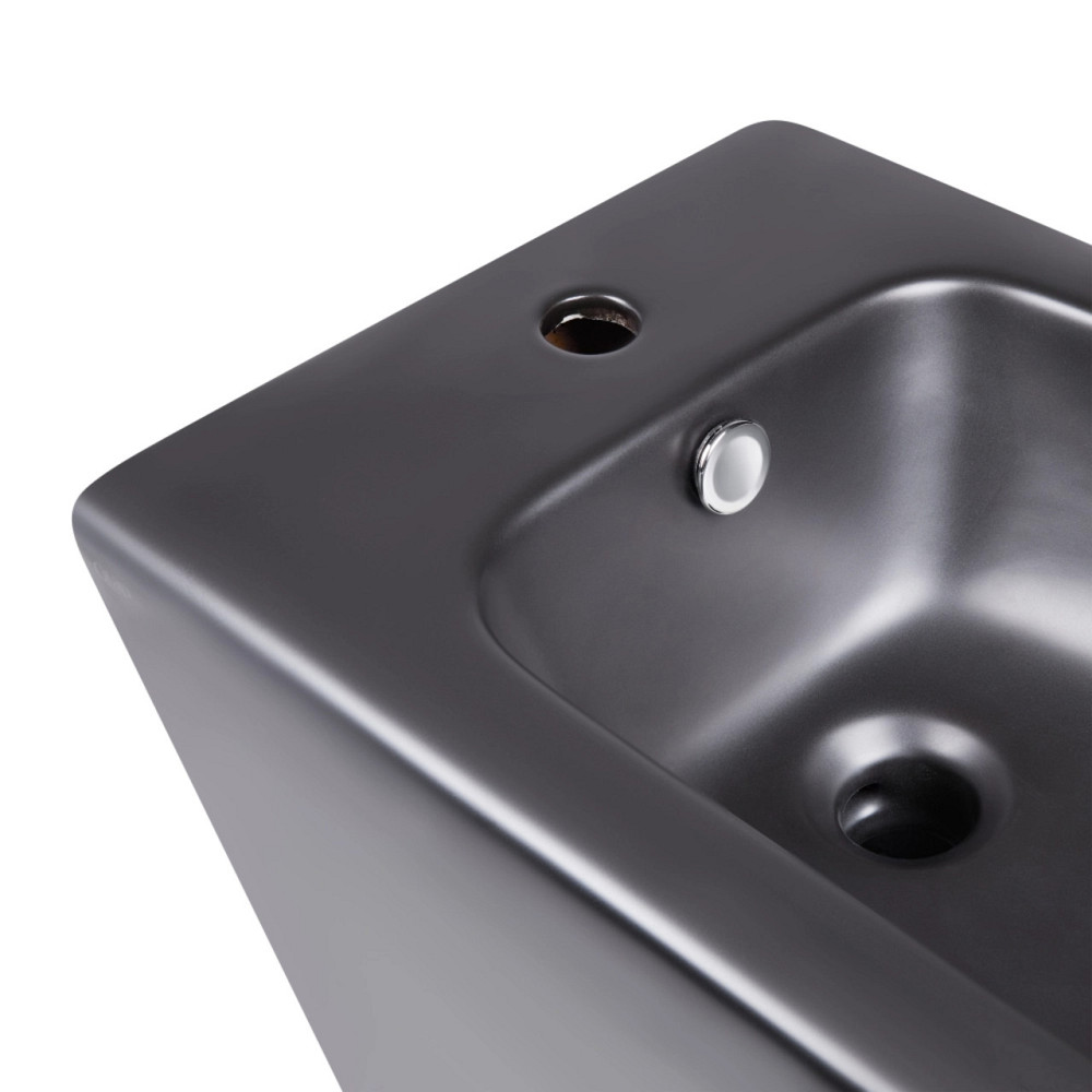 Акционный набор: Унитаз напольный Robin Ultra Quiet QT13226083AMB 660x360x855 Black + Биде напольное Robin QT13442141CMB Киев - изображение 15