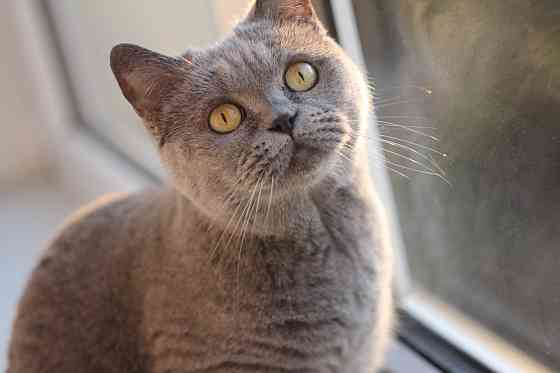 Професійний фотоапарат Canon EOS 600D Дзеркалка.Комплект. Б\У Київ