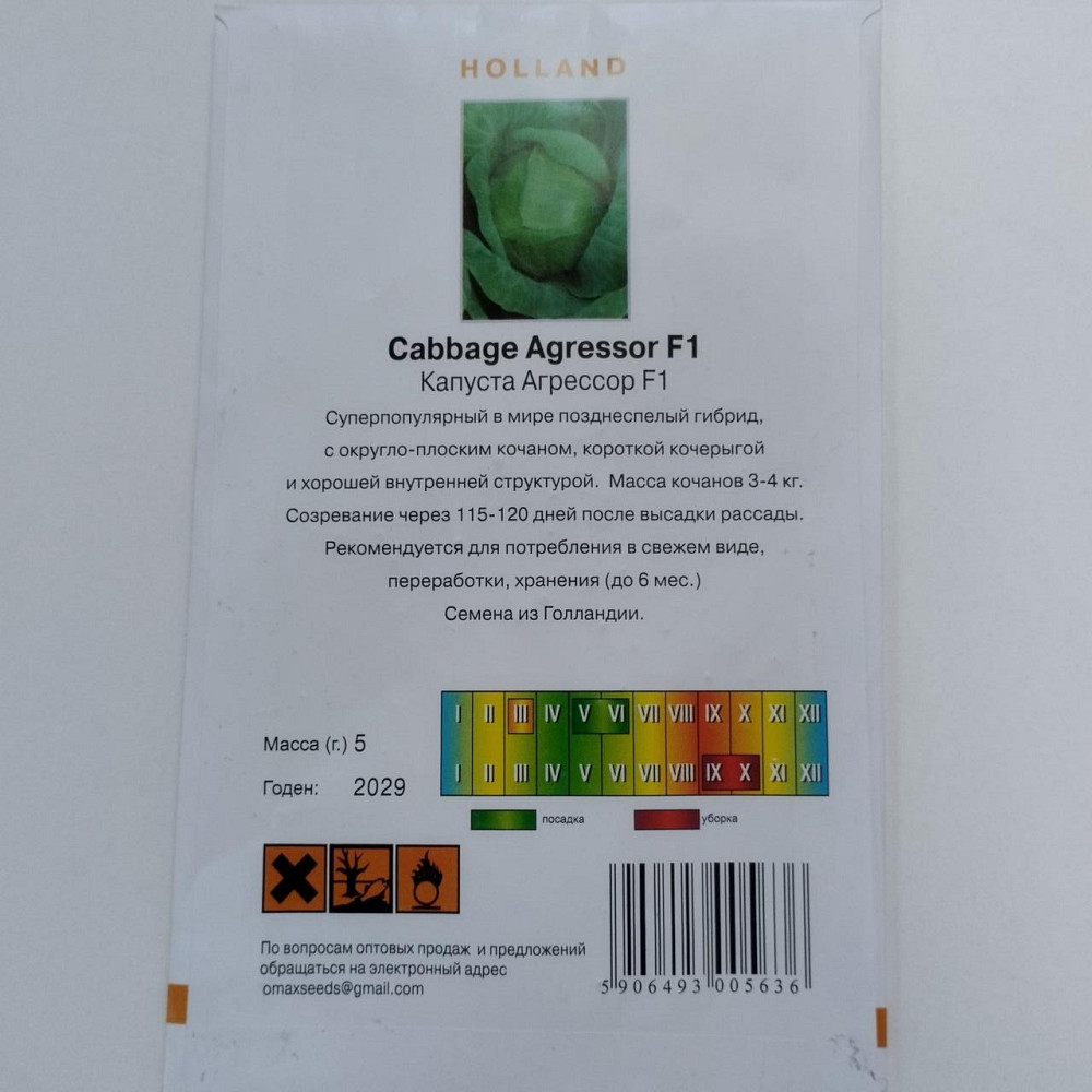 Капуста "Агресор F1" Голландія 5 гр Харків - фото 2