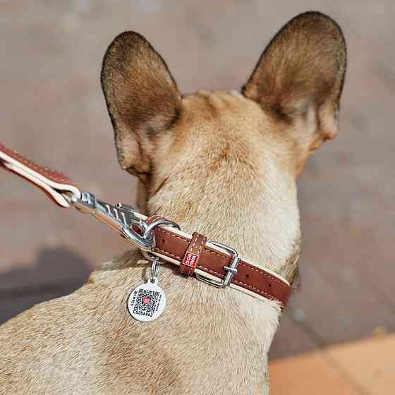 Нашийник для собак шкіряний WAUDOG Soft з QR паспортом, Ш 15 мм, Дов 27-36 см коричневий Коломыя