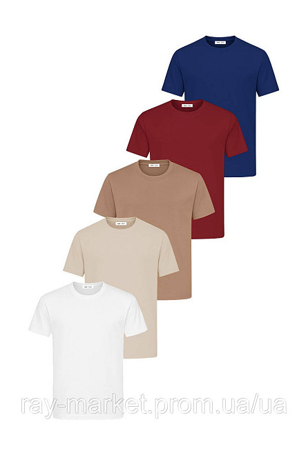 Набор базовых футболок Ray Premium Fit мужские 5 шт, цвет комбинированный (U0102-5PACK1) M Киев - изображение 1