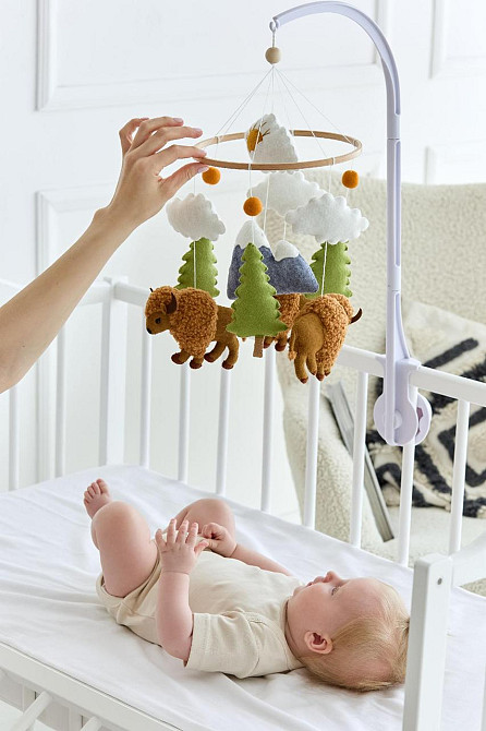 Дитячий музичний мобіль на ліжечко для немовлят WoollyFox "Бізони" на 35 мелодій Київ - фото 3