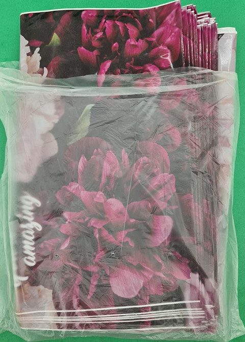 Пакет с прорезной ручкой, ламинированный 