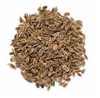 Укроп (семена), 1кг. MasterSEM Киев - изображение 1