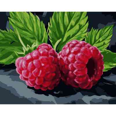 Картина по номерам Santi Сочная малина, 40*50 см алмазная мозаика (954873) Винница