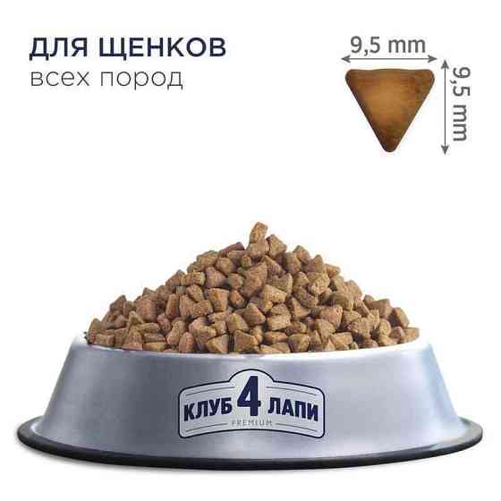 Club 4 Paws (Полуб 4 Лапи) Premium Puppy All Breeds Chicken сухий корм із куркою для цуценят усіх порід Запоріжжя