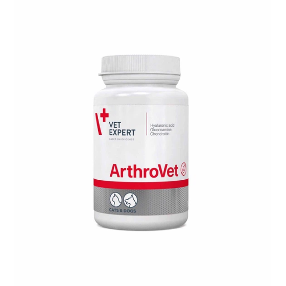 Домішка для собак і котів для підтримки суглобів і хрящів VetExpert ArthroVet (Артрівет) 90 таблеток Запоріжжя