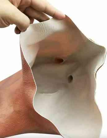 Маска голова лошади (коня) Винница