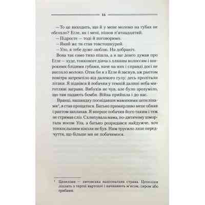 Книга Заячий костел - Василь Шкляр КСД (9786171511378) Вінниця