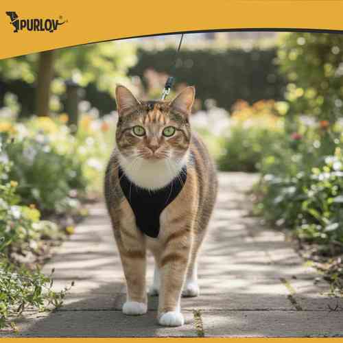 Шлейка регулируемая для животных без давления S от 8 до 15 кг Purlov (26868) Нововолынск