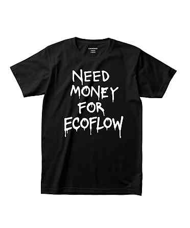 Футболка з написом «Need Money for EcoFlow» L, Чорний Чернівці