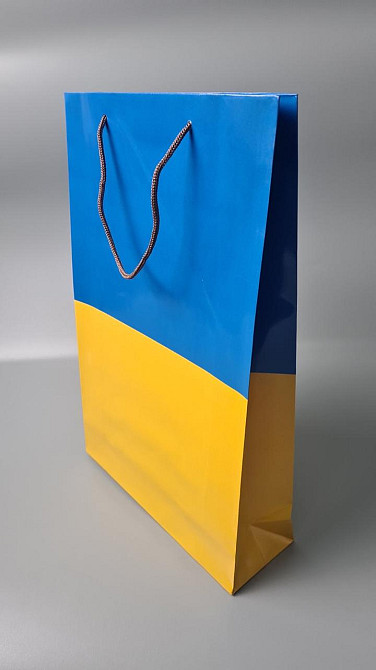 Большой бумажный пакет вертикальный  25/37/8(артBV-030) (12 шт) Харків - фото 1