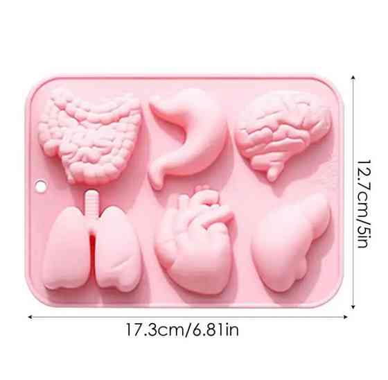 Силиконовая форма «Органы человека» для мыла, гипса и шоколада – 6 ячеек Киев