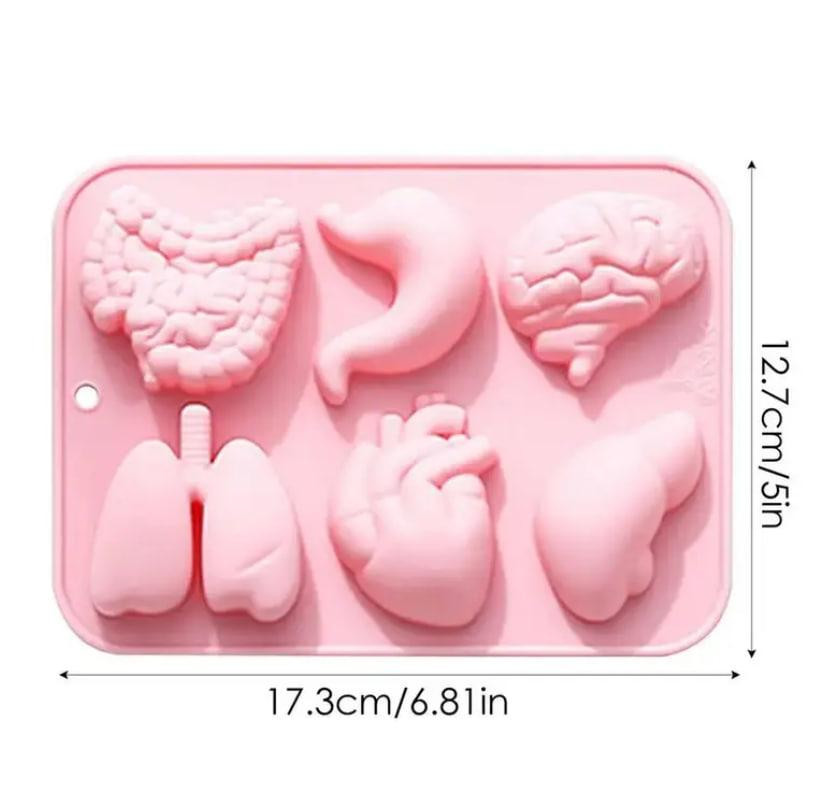 Силиконовая форма «Органы человека» для мыла, гипса и шоколада – 6 ячеек Киев - изображение 3