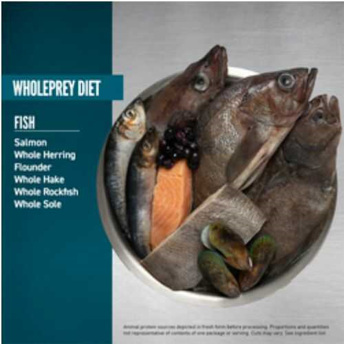 Orijen Adult Small Breed Marine Fish (Ориген Смол Брид Дог) сухий корм з рибою для собак маленьких порід Запоріжжя