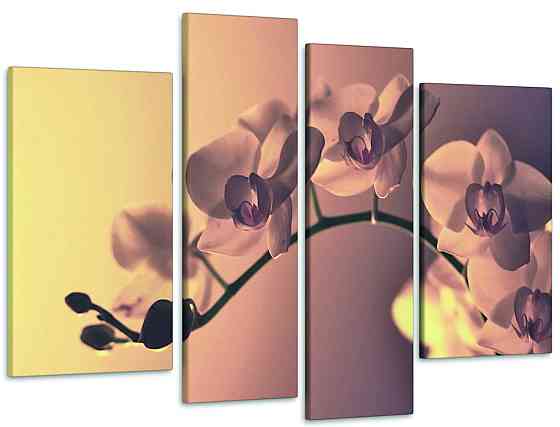 Модульна картина Орхідея Art-1_4 Київ