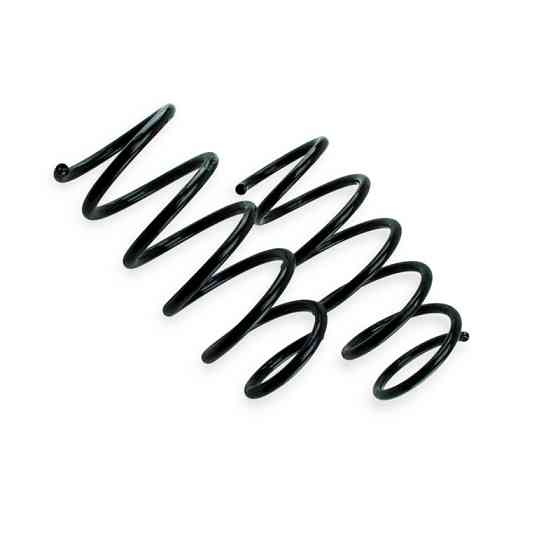 Пружина передняя Logan 13.5 мм. к-т EX-7496 Мукачево