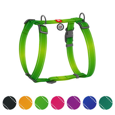 Шлей для собак WAUDOG Nylon Mono с QR-паспортом, пластиковый фастекс L салатовая (52745) Винница - изображение 1