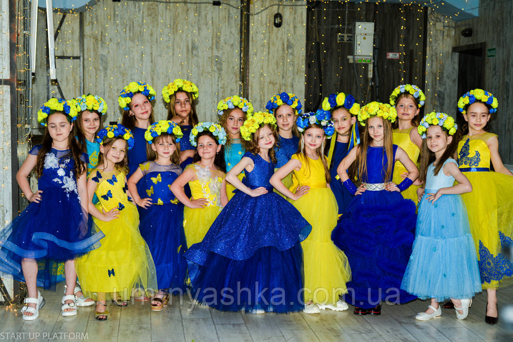 Святкова сукня з метеликами в патріотичних кольорах Кривий Ріг - фото 6