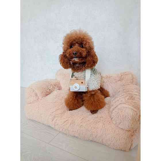 Хутряний диван лежак для собак і кішок спальне місце для тварин знімни Incor бежевий 10079 Київ