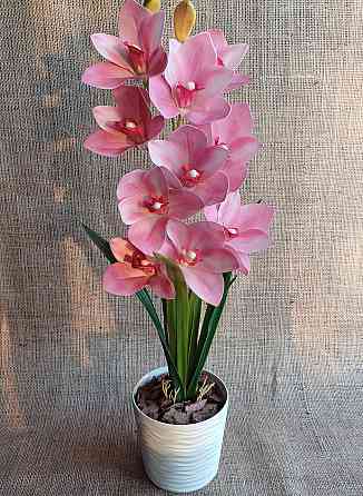 Штучна латексна орхідея цимбідіум у пластиковому кашпо рожева Дніпро