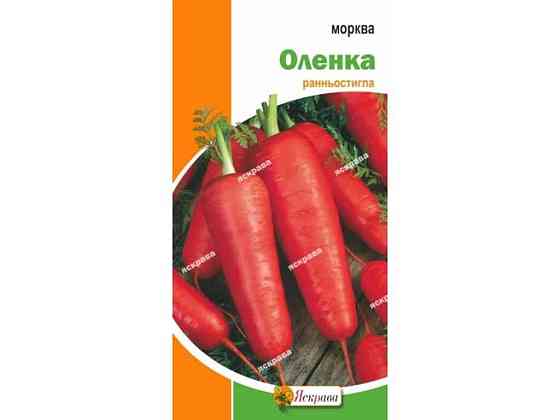 Морковь Оленка (20 пачек) 3г ТМ ЯСКРАВА Киев