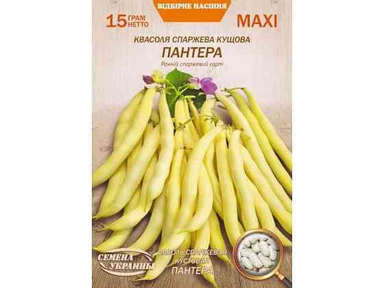 Максі Квасоля кущова ПАНТЕРА 15г (10 пачок) (рс) ТМ НАСІННЯ УКРАЇНИ Київ