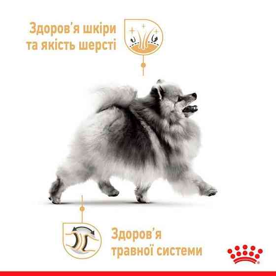 Royal Canin Pomeranian Loaf (Роял Канин Помераниан Лоаф) влажный корм паштет для померанских шпицов 85г х 12шт Запорожье