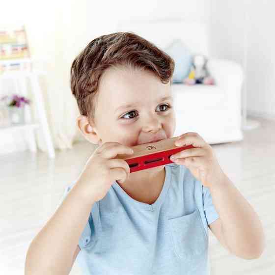 Дерев'яна гармоніка Hape Блюз (E0616) Харків