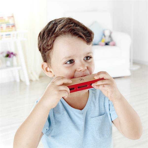 Деревянная гармоника Hape Блюз (E0616) Харьков - изображение 5