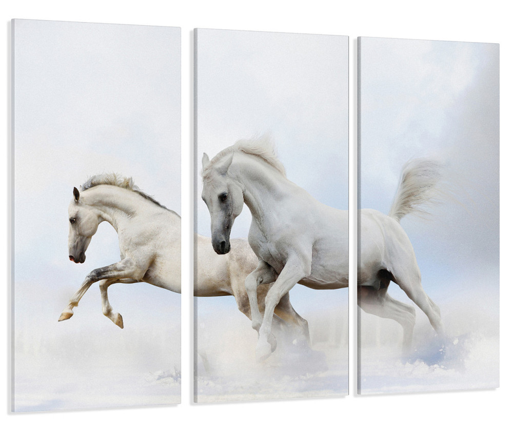 Модульная картина Белые Лошади Art-129_XXL 70x130 см Киев - изображение 1