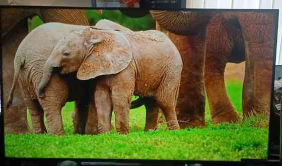 Телевизор: 58