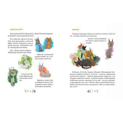 Книга 36 і 6 котів. Книга 1 - Галина Вдовиченко Видавництво Старого Лева (9786176791294) Вінниця