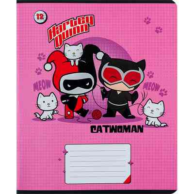 Зошит Kite DC Comics 12 аркушів, лінія (DC24-234) Вінниця