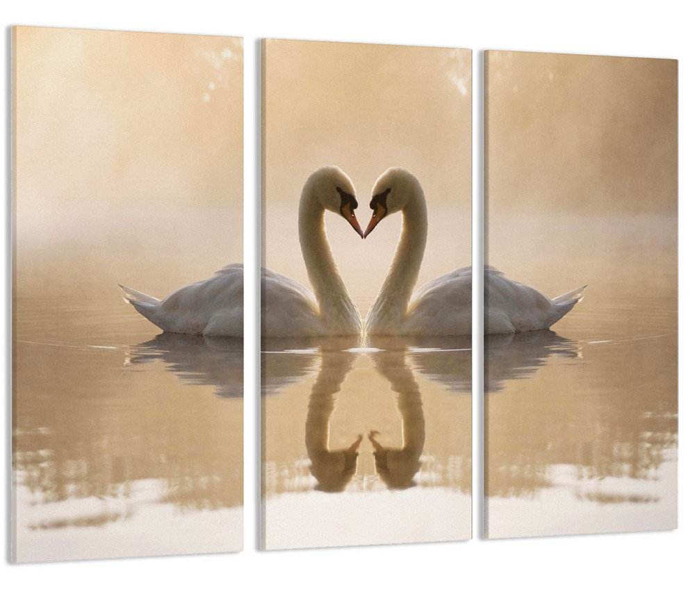 Модульна картина Лебеді Art-206_XXL Київ - фото 1