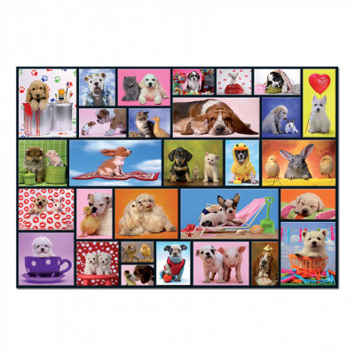 Пазл Educa Загальні моменти 1000 елементів (6425288) Вінниця - фото 2