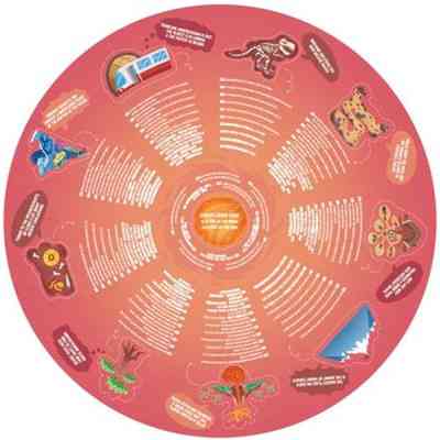 Пазл Hape круглый Подземный мир 36 элементов (E1637) Винница