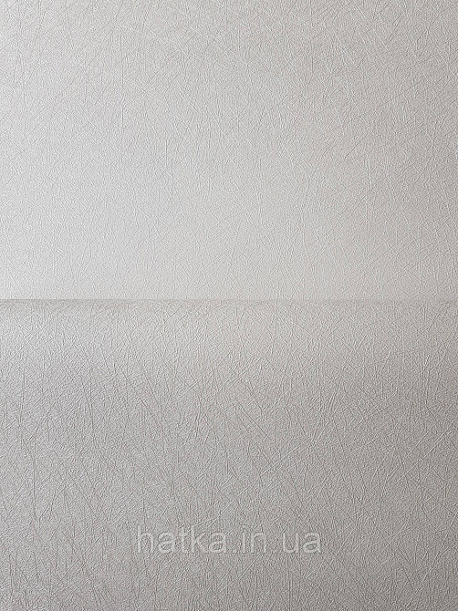 Шпалери метрові вінілові на флізеліні A.S.Creation Flowers Symphony1.06x10 смужки павутинка світло-бежевий перламутр Київ - фото 1